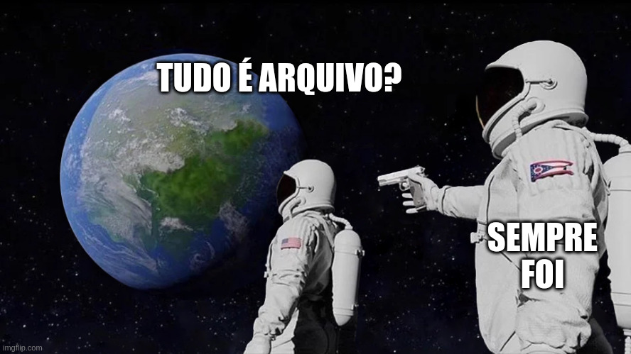 Meme muito engraçado sobre arquivos do sistema